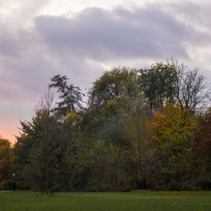 El cielo dejó ver algunos rayos de sol y aportó el también con sus colores al otoño en el Vondelpark • <a style="font-size:0.8em;" href="http://www.flickr.com/photos/96122682@N08/26213422419/" target="_blank">View on Flickr</a>