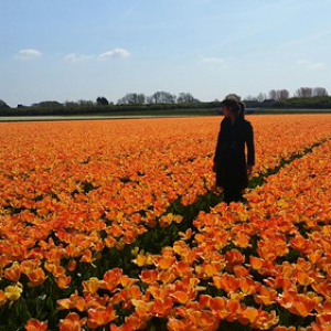 • <a style="font-size:0.8em;" href="http://www.flickr.com/photos/96122682@N08/41903445294/" target="_blank">View on Flickr</a>