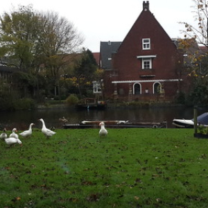 Mi segunda casa Mi segunda casa • <a style="font-size:0.8em;" href="http://www.flickr.com/photos/96122682@N08/41721341315/" target="_blank">View on Flickr</a>