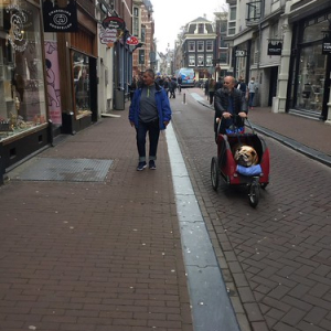 • <a style="font-size:0.8em;" href="http://www.flickr.com/photos/96122682@N08/41903621884/" target="_blank">View on Flickr</a>