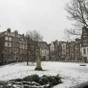 • <a style="font-size:0.8em;" href="http://www.flickr.com/photos/96122682@N08/42621886901/" target="_blank">View on Flickr</a>