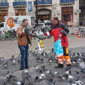 • <a style="font-size:0.8em;" href="http://www.flickr.com/photos/96122682@N08/41721342495/" target="_blank">View on Flickr</a>