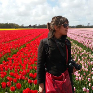 • <a style="font-size:0.8em;" href="http://www.flickr.com/photos/96122682@N08/41903445724/" target="_blank">View on Flickr</a>