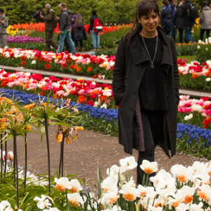 • <a style="font-size:0.8em;" href="http://www.flickr.com/photos/96122682@N08/41721400015/" target="_blank">View on Flickr</a>