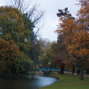 • <a style="font-size:0.8em;" href="http://www.flickr.com/photos/96122682@N08/27752966887/" target="_blank">View on Flickr</a>