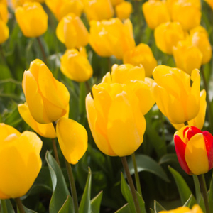 • <a style="font-size:0.8em;" href="http://www.flickr.com/photos/96122682@N08/28748307328/" target="_blank">View on Flickr</a>