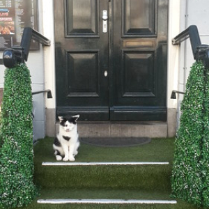 20170305_094741 20170305_094741 • <a style="font-size:0.8em;" href="http://www.flickr.com/photos/96122682@N08/40813842600/" target="_blank">View on Flickr</a>