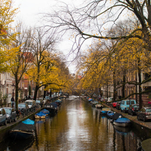 Otoño otra vez Otoño otra vez • <a style="font-size:0.8em;" href="http://www.flickr.com/photos/96122682@N08/40813673500/" target="_blank">View on Flickr</a>