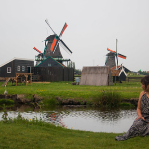 • <a style="font-size:0.8em;" href="http://www.flickr.com/photos/96122682@N08/40813691240/" target="_blank">View on Flickr</a>