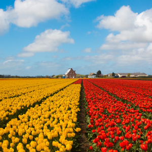 Comienza la primavera! Comienza la primavera! • <a style="font-size:0.8em;" href="http://www.flickr.com/photos/96122682@N08/40813723700/" target="_blank">View on Flickr</a>