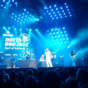 The Roots The Roots • <a style="font-size:0.8em;" href="http://www.flickr.com/photos/96122682@N08/41721330695/" target="_blank">View on Flickr</a>