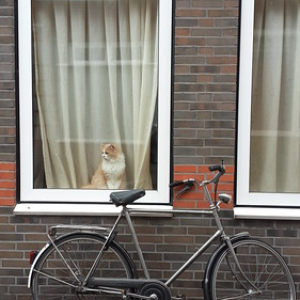 • <a style="font-size:0.8em;" href="http://www.flickr.com/photos/96122682@N08/41721346295/" target="_blank">View on Flickr</a>