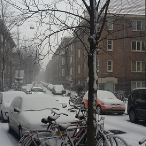 Invierno... Invierno... • <a style="font-size:0.8em;" href="http://www.flickr.com/photos/96122682@N08/40813843690/" target="_blank">View on Flickr</a>