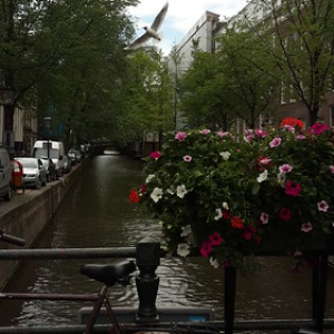 • <a style="font-size:0.8em;" href="http://www.flickr.com/photos/96122682@N08/41721347525/" target="_blank">View on Flickr</a>