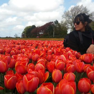 • <a style="font-size:0.8em;" href="http://www.flickr.com/photos/96122682@N08/41903445564/" target="_blank">View on Flickr</a>