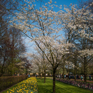 • <a style="font-size:0.8em;" href="http://www.flickr.com/photos/96122682@N08/26188409429/" target="_blank">View on Flickr</a>