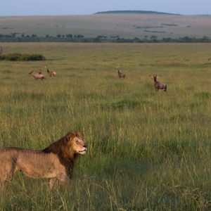 • <a style="font-size:0.8em;" href="http://www.flickr.com/photos/96122682@N08/26186585169/" target="_blank">View on Flickr</a>