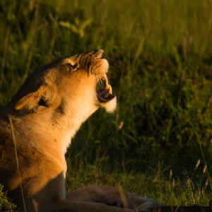 • <a style="font-size:0.8em;" href="http://www.flickr.com/photos/96122682@N08/37909251176/" target="_blank">View on Flickr</a>