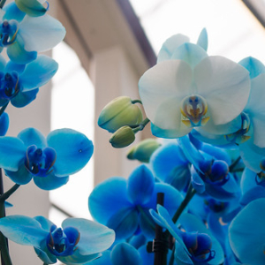 • <a style="font-size:0.8em;" href="http://www.flickr.com/photos/96122682@N08/37963903851/" target="_blank">View on Flickr</a>