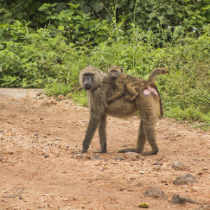 • <a style="font-size:0.8em;" href="http://www.flickr.com/photos/96122682@N08/26176275469/" target="_blank">View on Flickr</a>