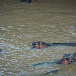 • <a style="font-size:0.8em;" href="http://www.flickr.com/photos/96122682@N08/37909278816/" target="_blank">View on Flickr</a>