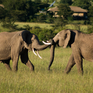 • <a style="font-size:0.8em;" href="http://www.flickr.com/photos/96122682@N08/37931776272/" target="_blank">View on Flickr</a>