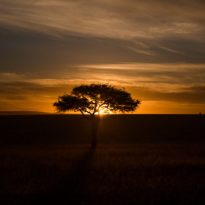 • <a style="font-size:0.8em;" href="http://www.flickr.com/photos/96122682@N08/26186586529/" target="_blank">View on Flickr</a>