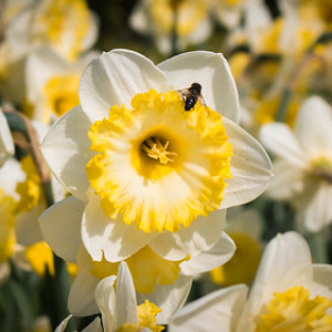 • <a style="font-size:0.8em;" href="http://www.flickr.com/photos/96122682@N08/37933217182/" target="_blank">View on Flickr</a>