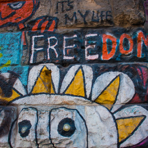 • <a style="font-size:0.8em;" href="http://www.flickr.com/photos/96122682@N08/37958515076/" target="_blank">View on Flickr</a>