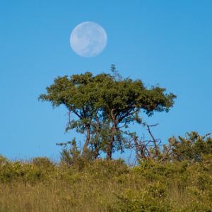 • <a style="font-size:0.8em;" href="http://www.flickr.com/photos/96122682@N08/37962678021/" target="_blank">View on Flickr</a>