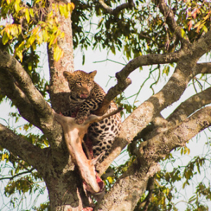 IMG_9253 IMG_9253 • <a style="font-size:0.8em;" href="http://www.flickr.com/photos/96122682@N08/37908482676/" target="_blank">View on Flickr</a>