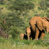 • <a style="font-size:0.8em;" href="http://www.flickr.com/photos/96122682@N08/37952414741/" target="_blank">View on Flickr</a>