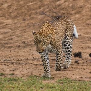 • <a style="font-size:0.8em;" href="http://www.flickr.com/photos/96122682@N08/37962742571/" target="_blank">View on Flickr</a>