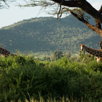 • <a style="font-size:0.8em;" href="http://www.flickr.com/photos/96122682@N08/37243107484/" target="_blank">View on Flickr</a>