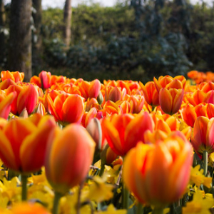 • <a style="font-size:0.8em;" href="http://www.flickr.com/photos/96122682@N08/37254388174/" target="_blank">View on Flickr</a>