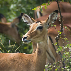 • <a style="font-size:0.8em;" href="http://www.flickr.com/photos/96122682@N08/24100674658/" target="_blank">View on Flickr</a>