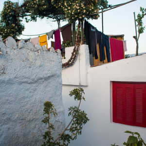 La vida La vida • <a style="font-size:0.8em;" href="http://www.flickr.com/photos/96122682@N08/26238102909/" target="_blank">View on Flickr</a>