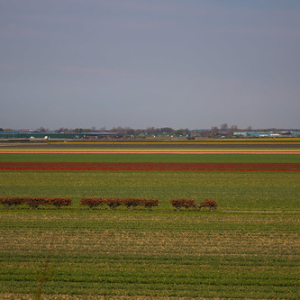 • <a style="font-size:0.8em;" href="http://www.flickr.com/photos/96122682@N08/24113086458/" target="_blank">View on Flickr</a>