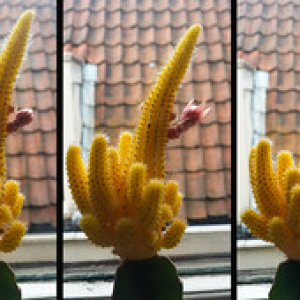 Al llegar a casa me encuentro con esto Al llegar a casa me encuentro con esto • <a style="font-size:0.8em;" href="http://www.flickr.com/photos/96122682@N08/24172471758/" target="_blank">View on Flickr</a>