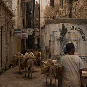 • <a style="font-size:0.8em;" href="http://www.flickr.com/photos/96122682@N08/26187613149/" target="_blank">View on Flickr</a>