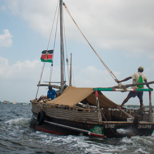 • <a style="font-size:0.8em;" href="http://www.flickr.com/photos/96122682@N08/37963181491/" target="_blank">View on Flickr</a>