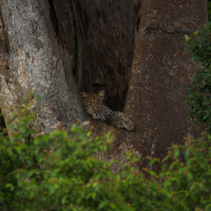 • <a style="font-size:0.8em;" href="http://www.flickr.com/photos/96122682@N08/26187200539/" target="_blank">View on Flickr</a>