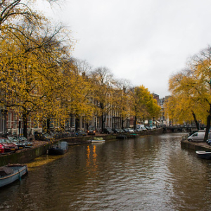 Singel Singel • <a style="font-size:0.8em;" href="http://www.flickr.com/photos/96122682@N08/26213492389/" target="_blank">View on Flickr</a>