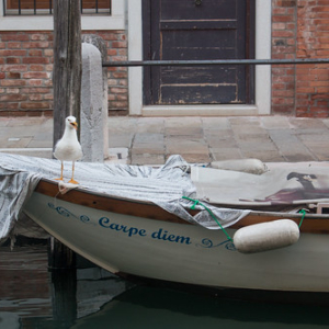 • <a style="font-size:0.8em;" href="http://www.flickr.com/photos/96122682@N08/37254667814/" target="_blank">View on Flickr</a>