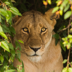 • <a style="font-size:0.8em;" href="http://www.flickr.com/photos/96122682@N08/37908447806/" target="_blank">View on Flickr</a>