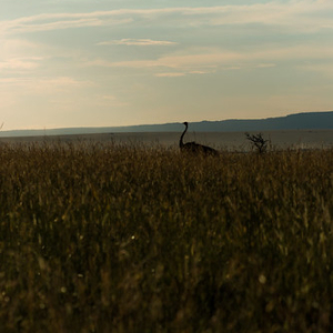 • <a style="font-size:0.8em;" href="http://www.flickr.com/photos/96122682@N08/37931774082/" target="_blank">View on Flickr</a>