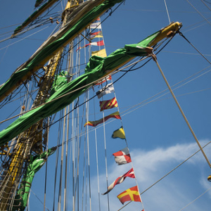 SAIL Amsterdam 2015 • <a style="font-size:0.8em;" href="http://www.flickr.com/photos/96122682@N08/37950486921/" target="_blank">View on Flickr</a>