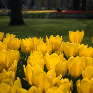 • <a style="font-size:0.8em;" href="http://www.flickr.com/photos/96122682@N08/37963934111/" target="_blank">View on Flickr</a>