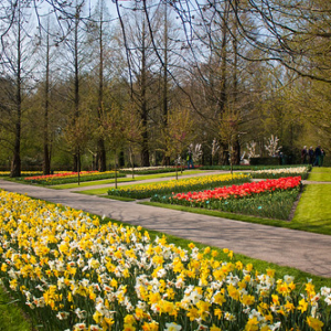 • <a style="font-size:0.8em;" href="http://www.flickr.com/photos/96122682@N08/37963962561/" target="_blank">View on Flickr</a>