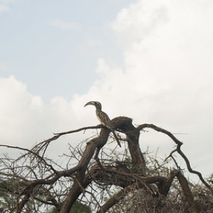 • <a style="font-size:0.8em;" href="http://www.flickr.com/photos/96122682@N08/37898480816/" target="_blank">View on Flickr</a>